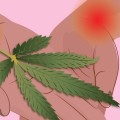 How Much Hemp Do You Need to Take for Pain Relief?