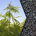 The Benefits of Hemp Plastic: A Sustainable and Renewable Alternative